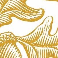 Elon University Alums Perform Tonight at 54 Below