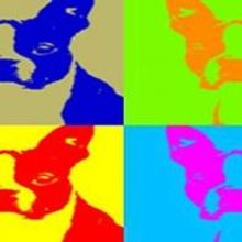 BWW Reviews: FOUR DOGS AND A BONE: Stage and Screen Intersect at Capital Fringe