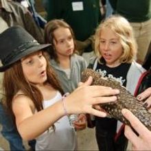 L.A. Zoo Hosts After-Hours SUNSET SAFARI Tonight