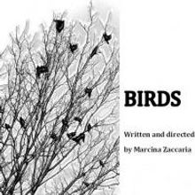 Provocative New Play BIRDS Premieres at This/That Festival 10/17