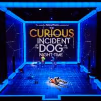 AmEx Presale to Begin Tomorrow For National Theatre's THE CURIOUS INCIDENT OF THE…