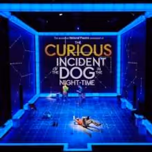 AmEx Presale to Begin Tomorrow For National Theatre's THE CURIOUS INCIDENT OF THE…