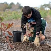 NYC Parks Teams with NY/NJ Super Bowl Host Committee, NFL to Plant 20,000 Trees in…
