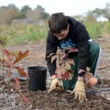 NYC Parks Teams with NY/NJ Super Bowl Host Committee, NFL to Plant 20,000 Trees in…