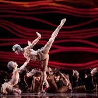 Houston Cinema Arts Festival Premieres Houston Ballet Documentary on 11/10