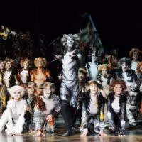 Andrew Lloyd Webber Wants CATS to Return to the Palladium Next Christmas