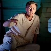 Alan Cumming's MACBETH Ends Broadway Run Today