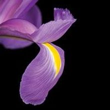 The UUA Bookstore Presents A LONG TIME BLOOMING: MEDITATIONS by Marta I. Valentín