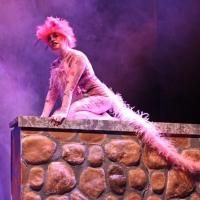 Other Voices Theatre Presents 18th Annual Production of THE NEW ADVENTURES OF ALICE…