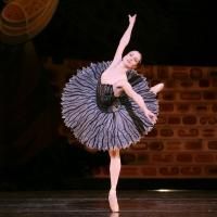 BWW Interviews: Sara Webb Talks Houston Ballet's SWAN LAKE