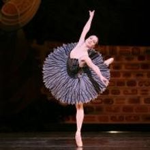BWW Interviews: Sara Webb Talks Houston Ballet's SWAN LAKE