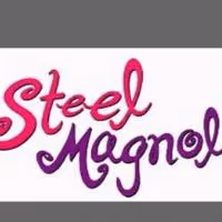 STEEL MAGNOLIAS Opens November 22 at The City Theatre