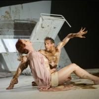 Royal Ballet's THE METAMORPHOSIS to Open 9/17 at The Joyce Theater