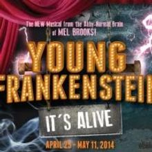 Palo Alto Players Present YOUNG FRANKENSTEIN, 4/25-5/11