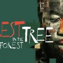 Tectonic Theater Project's TALLEST TREE IN THE FOREST Set for La Jolla, Beg. 10/13