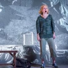 Photo Flash: First Look at Victor Mack, Dana Millican and More in Artists Rep's ITHAK