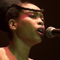 Brooklyn Philharmonic Presents Erykah Badu at BAM Tonight