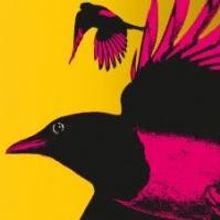 ACL Coverage: The Avett Brothers