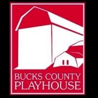 Dates Announced for 47th ANNUAL BUCKS COUNTY PLAYHOUSE STUDENT THEATER FESTIVAL