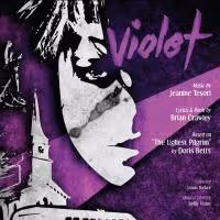 BWW Reviews: Self-Acceptance and Self-Discovery in VIOLET at Street Theatre Company