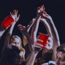 The Brick and Glasswork Productions Present Valerie Work's THE PARTY PLAY, Now thru 5