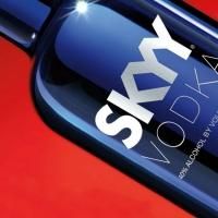 SKYY Vodka and Freedom to Marry Raise a Toast to Marriage