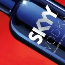 SKYY Vodka and Freedom to Marry Raise a Toast to Marriage
