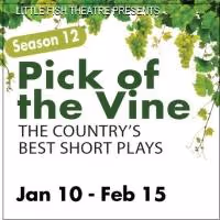 Little Fish Theatre Announces PICK OF THE VINE Short Plays Lineup for 2014 Season