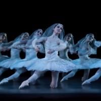 GISELLE and LA BAYADERE Set for Houston Ballet's 2014-15 Tour, Kicking Off This…