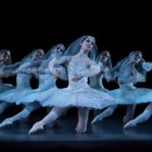 GISELLE and LA BAYADERE Set for Houston Ballet's 2014-15 Tour, Kicking Off 11/1