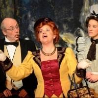 2nd Story Theatre's UpStage Continues with LE DINDON, Now thru 4/13