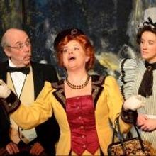 2nd Story Theatre's UpStage Continues with LE DINDON, Now thru 4/13