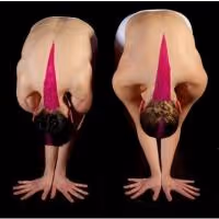 The Joyce Theater Foundation to Present JOYCE UNLEASHED, 5/8-17