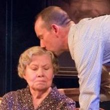 BWW Reviews: THE GLASS MENAGERIE Shimmers Onstage at Act II Playhouse