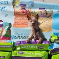 Freekibble.com and Ellen DeGeneres' Halo Pet Food's 'Inspire Tour' Will Deliver…