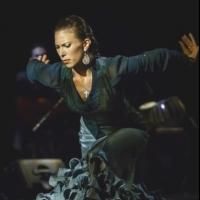 Photo Flash: Sneak Peek - Forever Flamenco Welcomes Joey Heredia & Company to the…