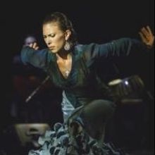 Photo Flash: Sneak Peek - Forever Flamenco Welcomes Joey Heredia & Company to the…