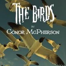 Quotidian Theatre Company to Present D.C. Premiere of THE BIRDS, 7/12-8/11