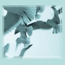 Shyrell Wisdom Completes First Book 'Wisdom Says Poetry'