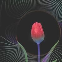 Polarity Ensemble Theatre Set for Residency at Greenhouse Theater Center
