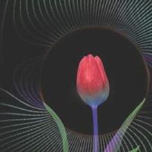 Polarity Ensemble Theatre Set for Residency at Greenhouse Theater Center