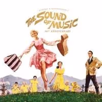 THE SOUND OF MUSIC, GREASE & More Set for The Orpheum's 2015 Summer Movie Series