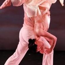 Amanda Selwyn Dance Theatre to Premiere RENEWAL in March 2015