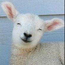 Staircase Theatre Opens HUNTER GATHERERS Tonight