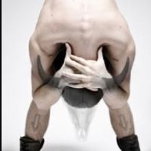 BISON and More Among Pride Films and Plays' Readings, Oct-Nov 2013