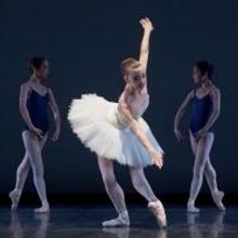 The Houston Ballet's Academy Presents the 2014 SPRING SHOWCASE This Weekend