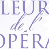 The Houston Grand Opera's 2014 Opera Ball, Fleurs de l'Opéra, Raises Over $2 Million