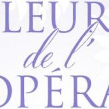 The Houston Grand Opera's 2014 Opera Ball, Fleurs de l'Opéra, Raises Over $2 Million