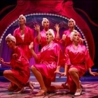 Photo Flash: A Look Back at Cygnet Theatre's Summer Show PAGEANT