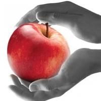 Oregon Children's Theatre Presents THE GIVER, Now thru 5/18